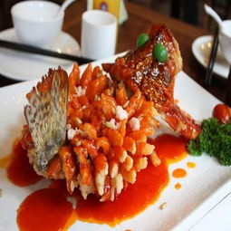 小廚娘淮揚菜加盟條件、費用及聯系方式詳解